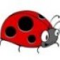 Аватар пользователя sun_ladybird