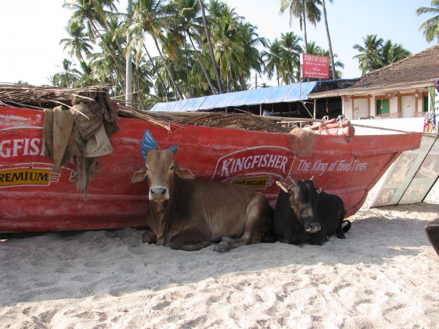 Пляж Палолим в Гоа, Индия