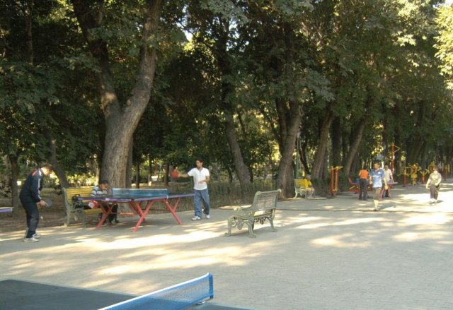 Иранцы занимаются спортом в парке