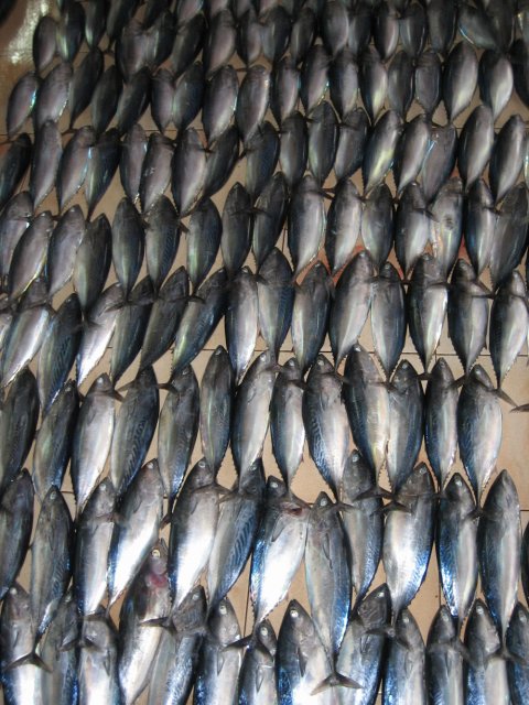 Рыбный рынок на Мале, Мальдивы