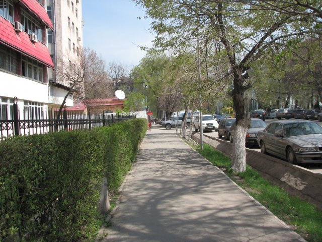 На улицах Алматы
