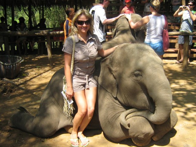 Умный слоненок, Таиланд