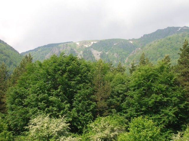 Гора Витоша