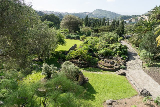 Ботанические сады Вьеха-и-Клавихо на Гран Канарии
