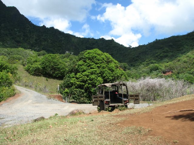 Экскурсия в джунгли, Оаху, Гавайи