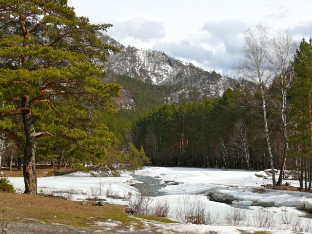 Алтай, Россия