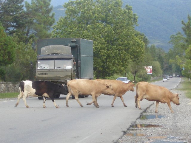 Гагры, Абхазия