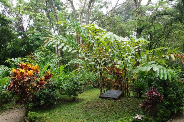 11151