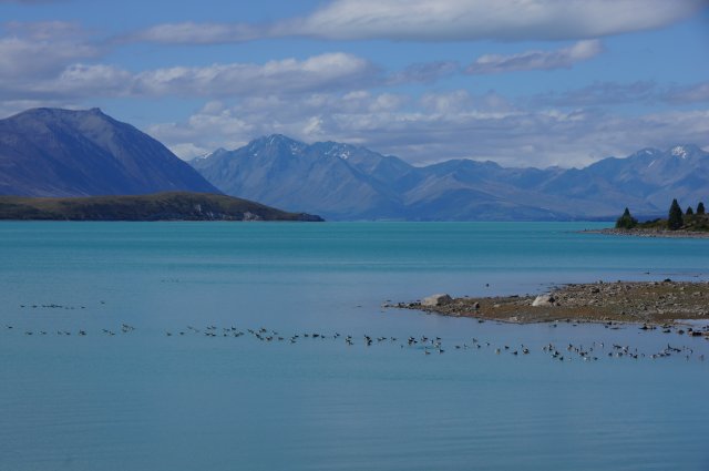 Озеро Текапо, Новая Зеландия