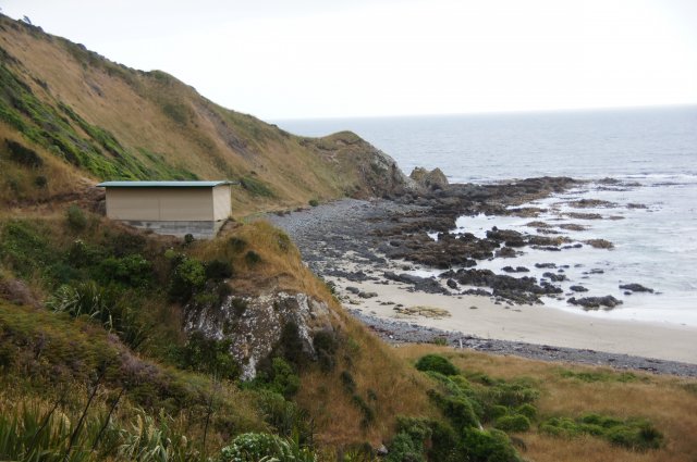 10833