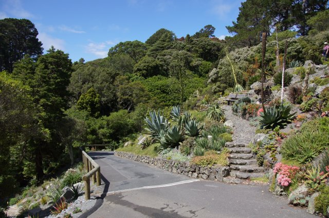 Ботанический Сад, Веллингтон, Новая Зеландия