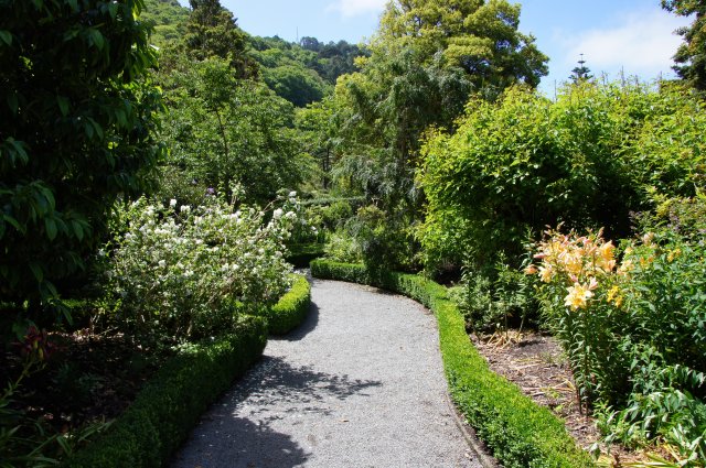 Ботанический Сад, Веллингтон, Новая Зеландия