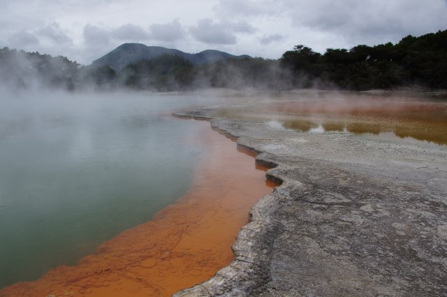 Озеро Шампанского, Роторуа, Новая Зеландия