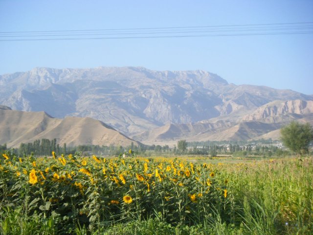 Окрестности Душанбе, Таджикистан