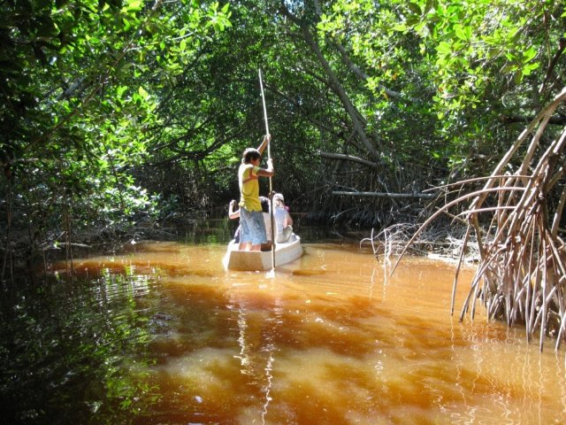 Селестун мангровый заказник, Мексика
