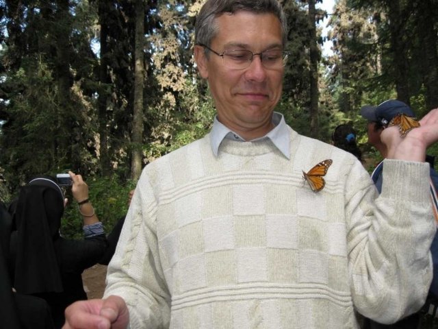 Заповедник бабочек монархов, Мексика