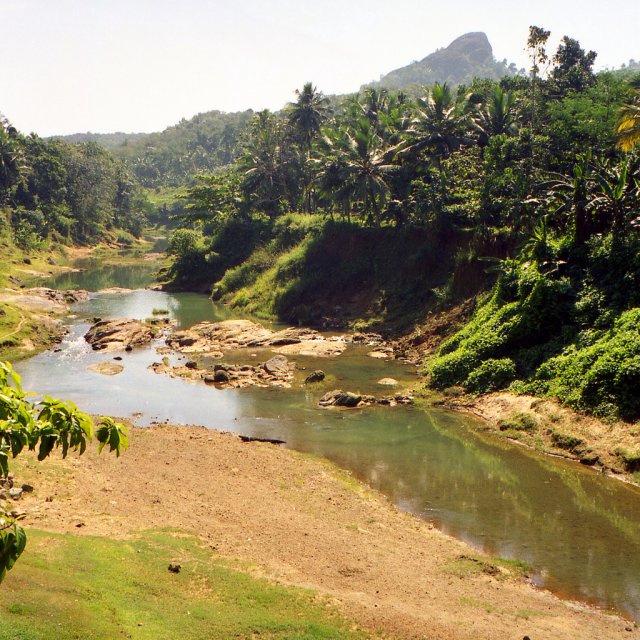 Местность недалеко от Тривандрума, Керала, Индия