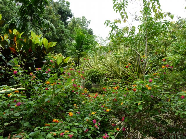 парк Бабочек (Batterfly Garden), Бохол, Филиппины