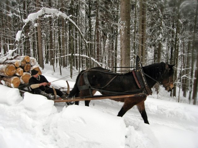 Горнолыжный курорт Райт-им-Винкль, Германия