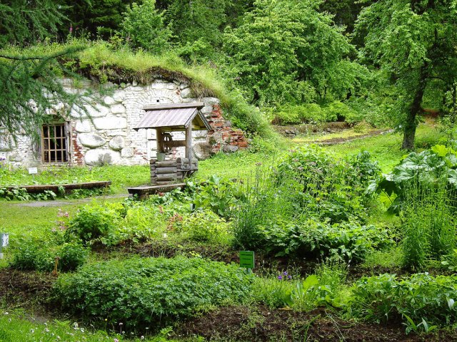 Ботанический сад, Соловецкие острова, Россия