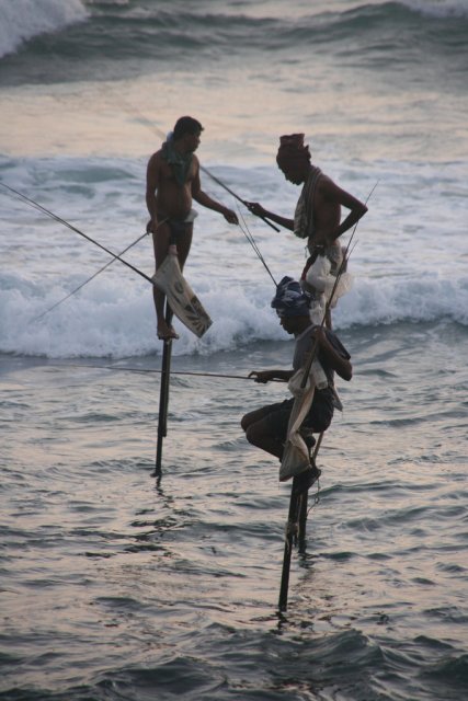 Традиционная рыбалка на сваях, Шри-Ланка