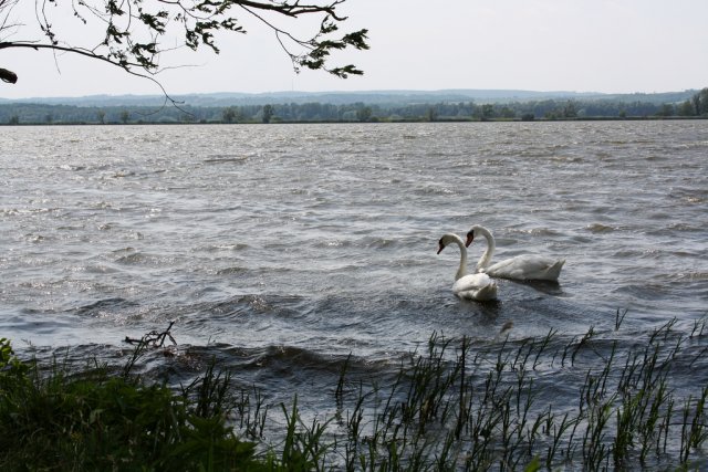 Озеро Балатон, Венгрия