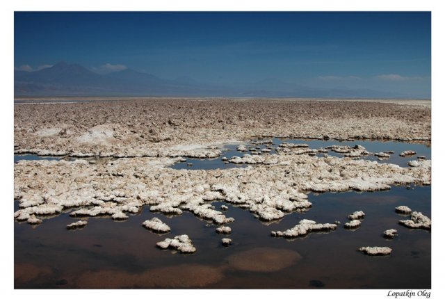 Лагуна Чакса, входит в состав Salar De Atacama