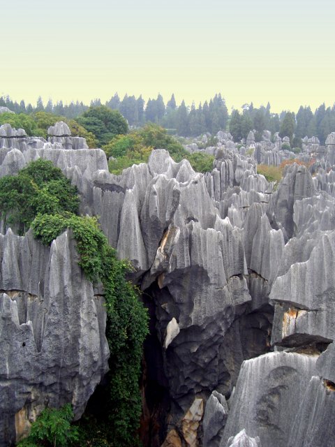 Каменный лес Шилинь, Китай
