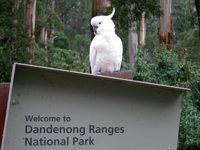 Национальный парк Данденонг Рейнджес, Мельбурн