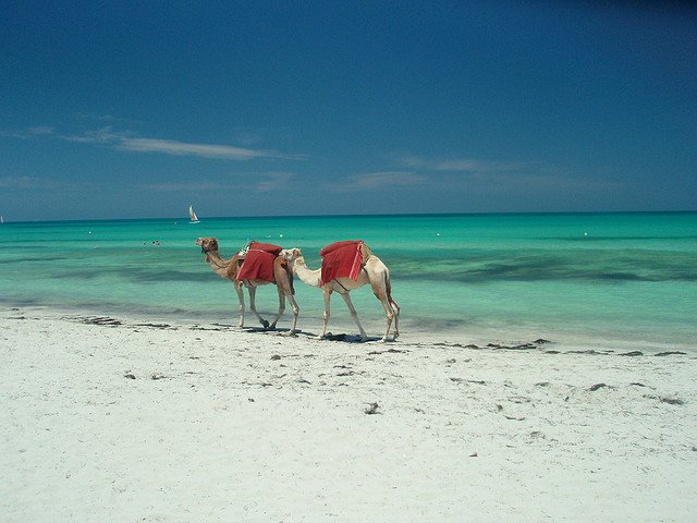 Остров Джерба, Тунис