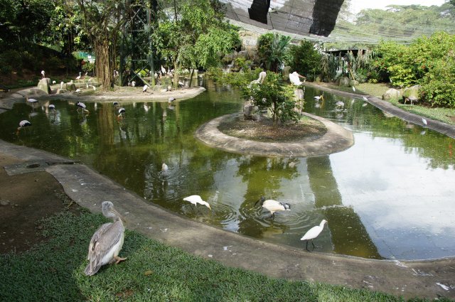 Парк Птиц, Куала-Лумпур