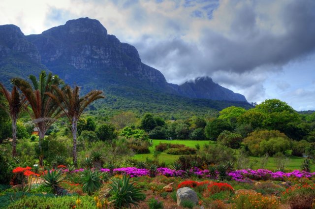 Ботанический сад Кирстенбош, Кейптаун