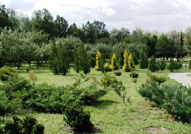 Уфимский ботанический сад