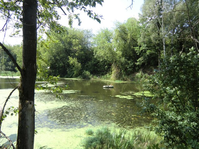 Клин. Река Сестра. 30.07.2010.