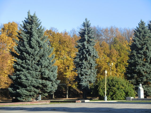 Около Московского университета. 13.10.2013.