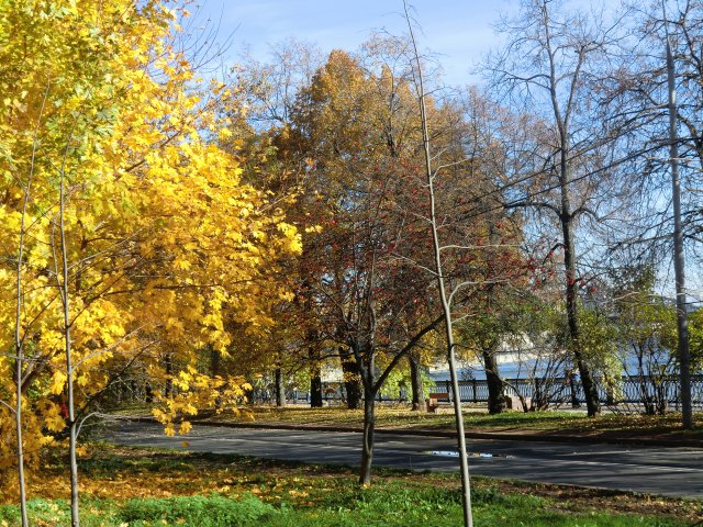 Набережная Москвы-реки.