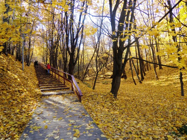 Осенние пейзажи.