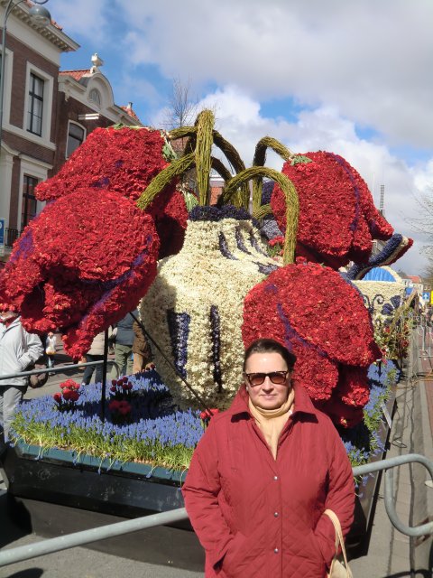 Парад цветов на улицах голландского Харлема 24 апреля 2016.