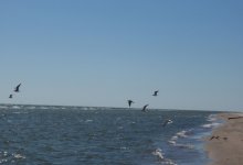 Азовское море, Россия