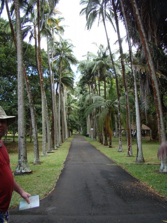 У. Скотт-Эллиот. Лемурия Исчезнувший Континент У. Скотт-Эллиот. Лемурия Исчезнувший Континент