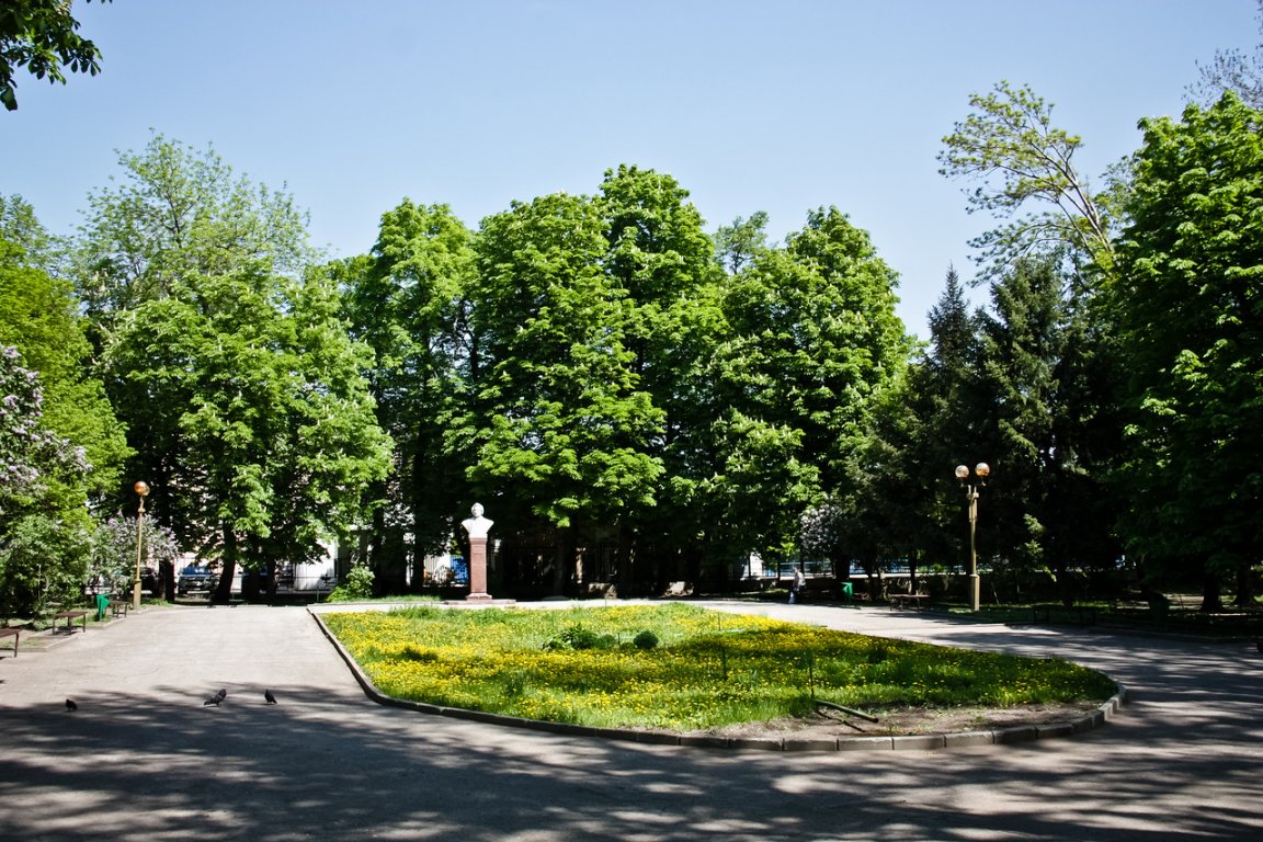 Парк Саратов Фото
